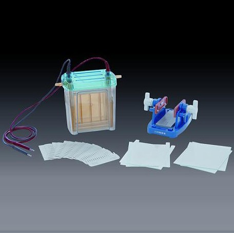 �p��ֱ�Ӿ�x(��)����̖(h��o)��DYCZ-24F