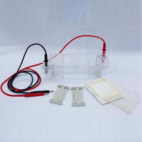 ��֬��ˮƽ�Ӿ�x���ۣ���С̖(h��o)��DYCP-31CN��