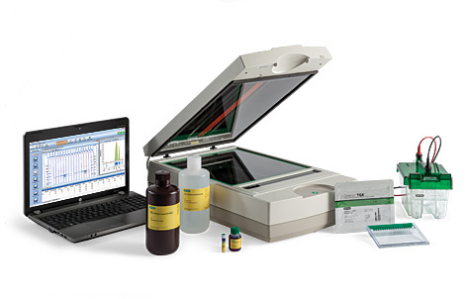 ������Ʒ������������