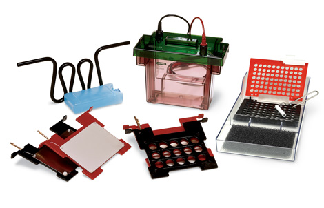 Criterion™ �Dӡ�O��