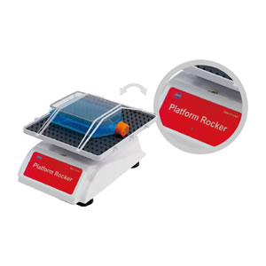 �[��С��NS-04��NS-05U